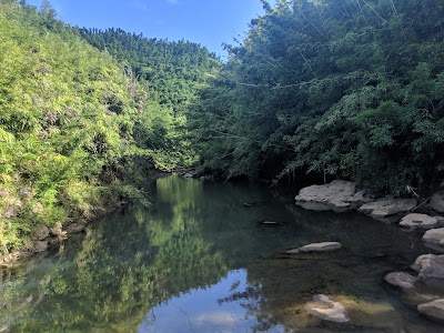 Bamboo Forest Hike