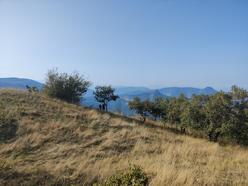Monte Mitola - Visual