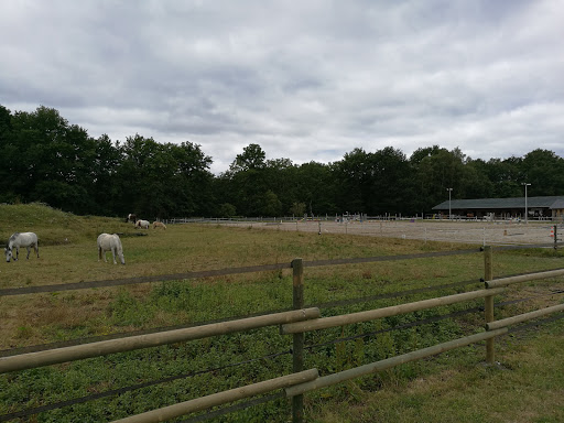 Equestrian Center Du Vieux Château - Thumbnail