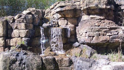 Photos of Jacksonville Zoo and Gardens