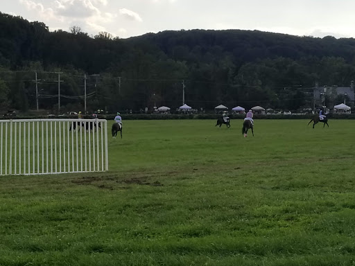 Shawan Downs - Visual
