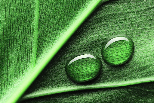 EcoService - Visual