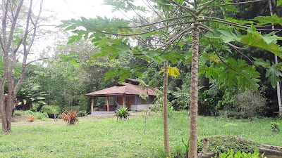 Photos of Wolfsong Cabins
