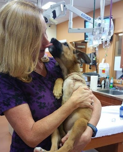 Photos of Crown Veterinary Specialists