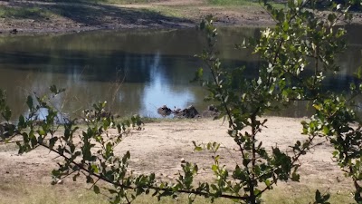 Photos of Lionspruit Game Reserve