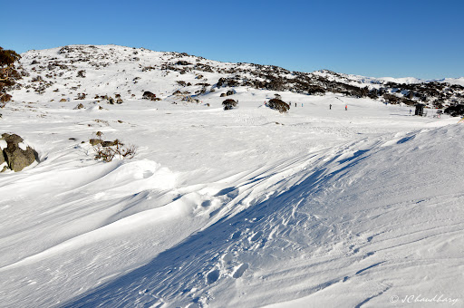Blue Cow (Blue Cow Mountain)