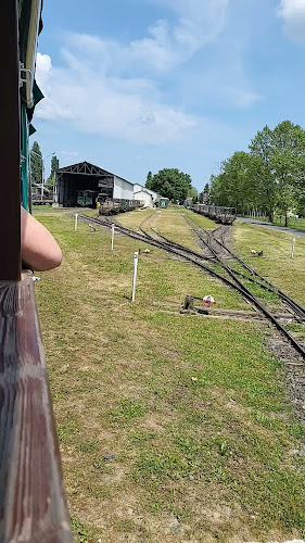 Zalaerdő Zártkörű részvénytársaság - Lenti Erdei és Vasúti Múzeum, Kisvasút