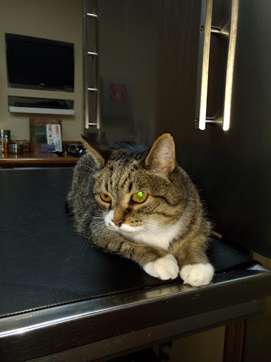 Fairborn Animal Hospital
