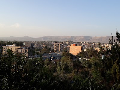 Photos of Abreha Castle