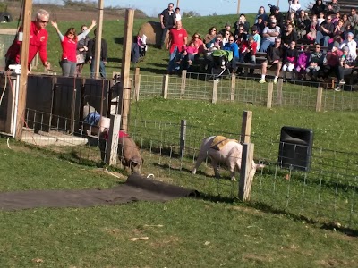 Photos of Richardson Adventure Farm