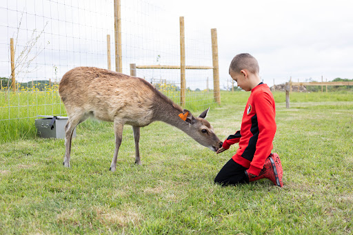 Hogshaw Farm & Wildlife Park