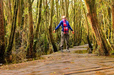 Photos of Camping Lago Puelo
