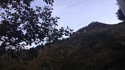 Photos of Camino a Eco-Parque la Cima