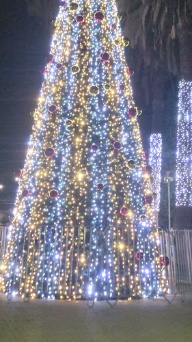 Plaza de Renca - Mercado