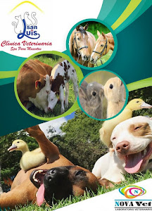 Clínica Veterinaria San Luis Yanahuara 7