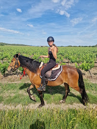 Photo n°10 de Les poneys d'aurel à Junas (Centre équestre)