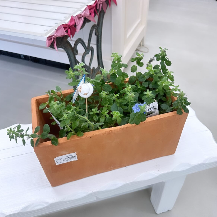 フラワーギフトお花はん