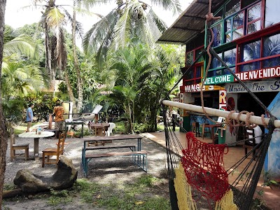 Photos of Mango Tree Cafe
