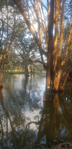 Alf Schmidt Wetland - Thumbnail