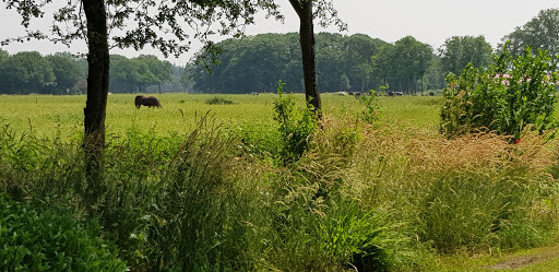Boerderij Camping 't Vosje - Thumbnail