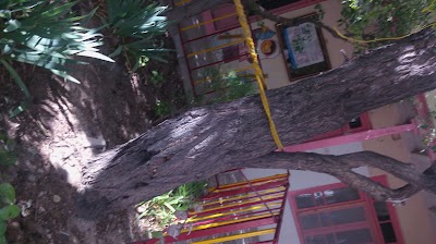 Photos of طباخی بره سفید