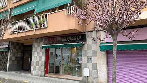 Zao Xing Wu Perruqueria Logo