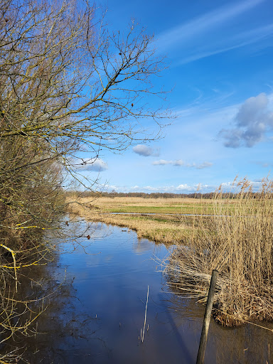 Park links der Weser