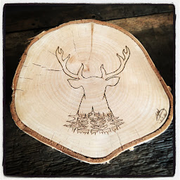 Photo n°4 de Renowood à Vaux d'Amognes (Fabricant)