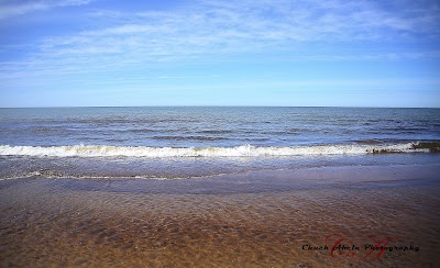 Photos of Indiana Dunes State Park