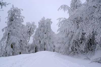 Kuzuyayla Nature Park