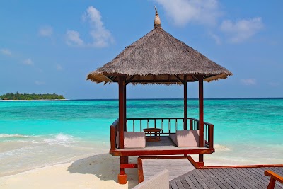 Photos of Backpackers Maldives