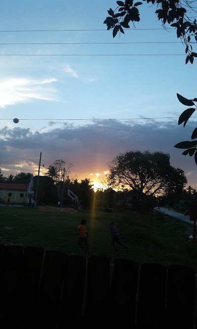 Photos of Arbol Verde