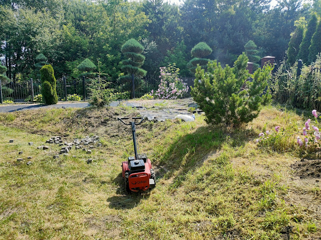 Godziny otwarcia Zieleń i drewno Ogrody Białystok