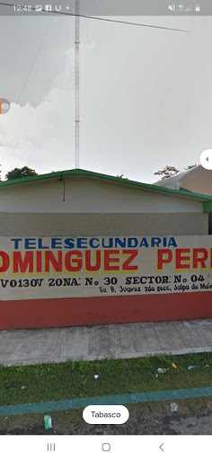 TELESECUNDARIA FÉLIX DOMÍNGUEZ PÉREZ - Thumbnail