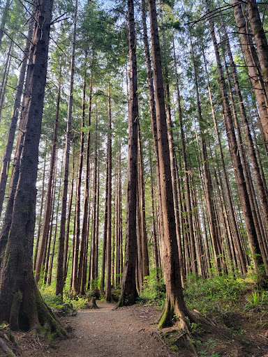 China Beach Campground - Thumbnail