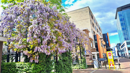 Parkeerplaats aan de markt - Thumbnail