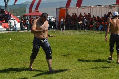 Futbol Sahası