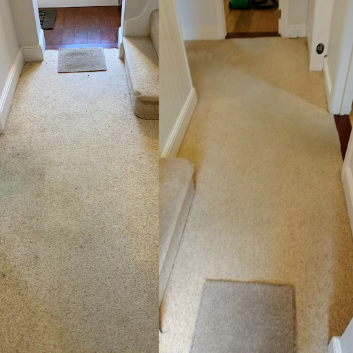 Cleaning Bee - Property Management - Thumbnail