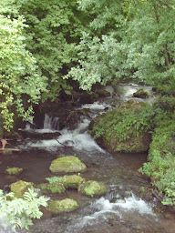 Photo n°12 de Le parc des cascades à Saint-Augustin (Lodge)