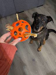 Photo n°19 de Happy zoo à Saint-Jean-d'Angély (Salon de thé)