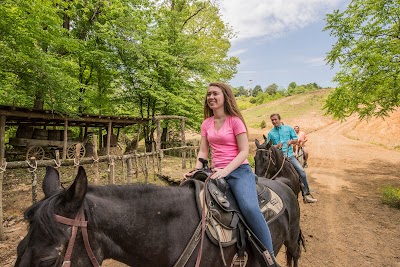 Five Oaks Riding Stables