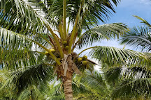 Punakea Palms, Lahaina, United States