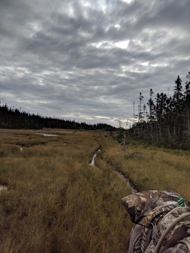 Bay Du Nord Wilderness Reserve - Thumbnail