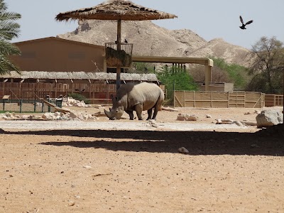 zoo