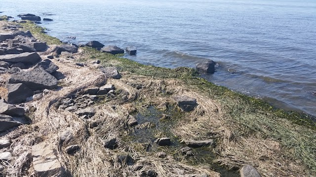 Parc-nature du Bois-de-l'Île-Bizard