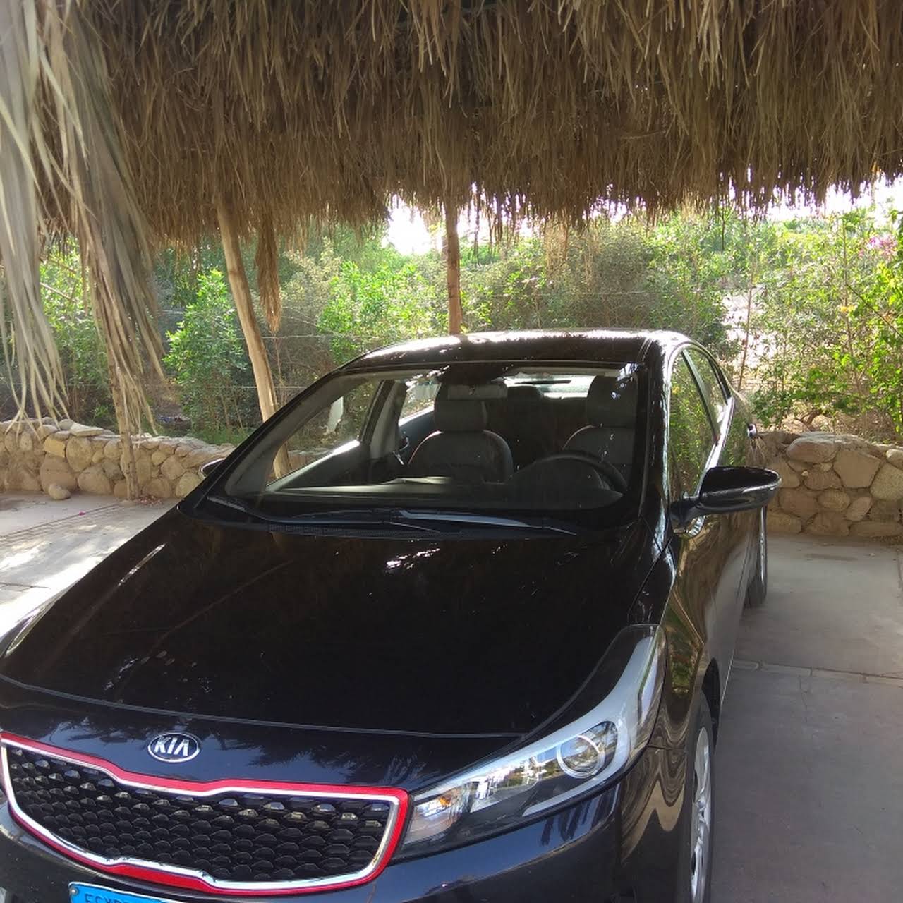 Euro Car Rental Car Rental Company