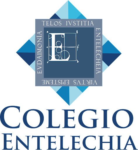 Colegio Entelechia - Thumbnail