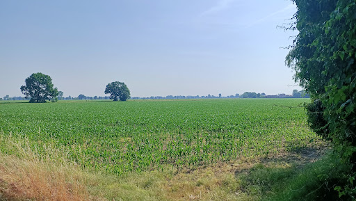 Belgioioso - Visual