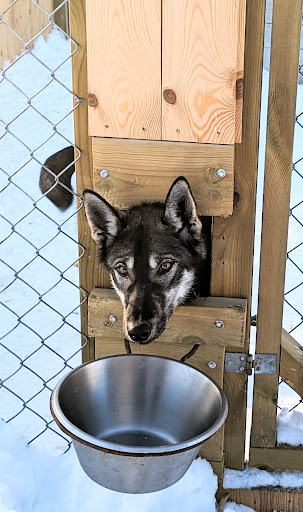 Lapland Wilderness Tours - Thumbnail