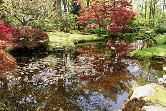Japanese garden